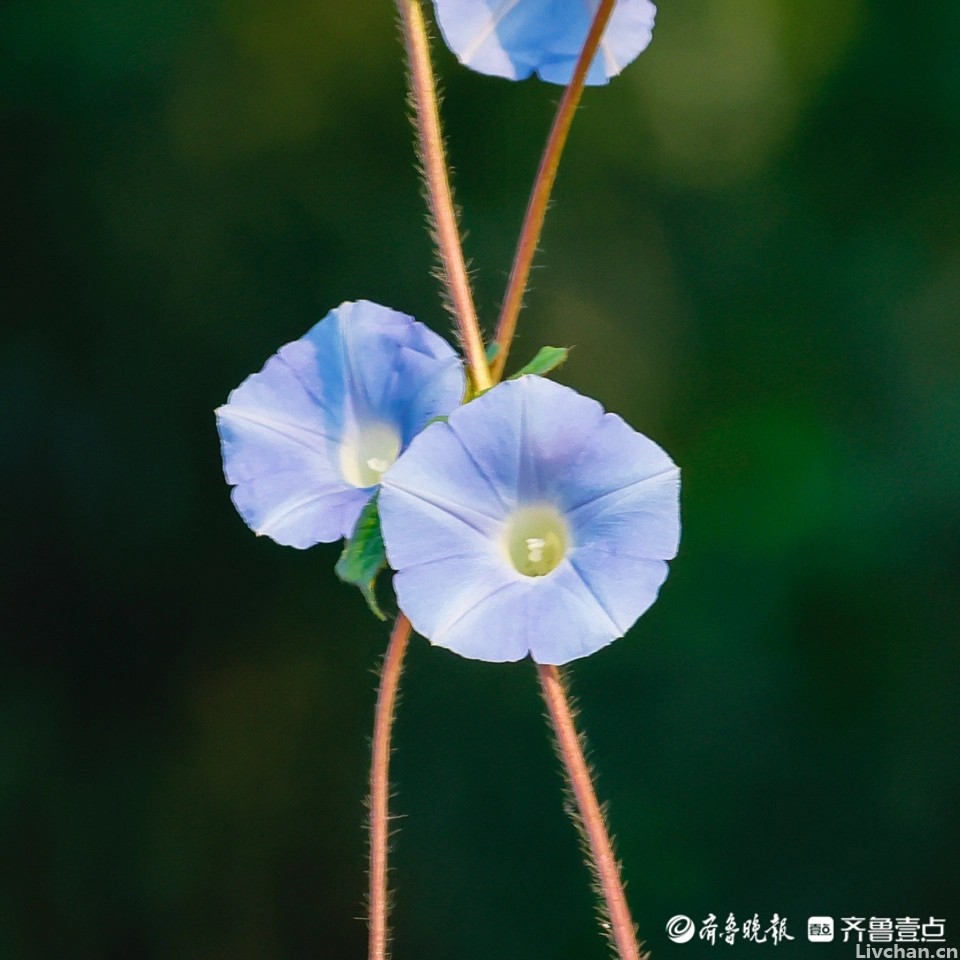 心宽一寸，病退一丈