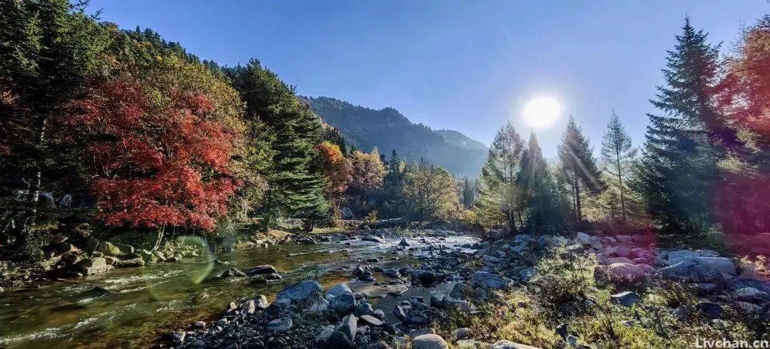 唐代最清丽的一首秋日诗, 中间10个字成写秋名句, 写作文经常引用