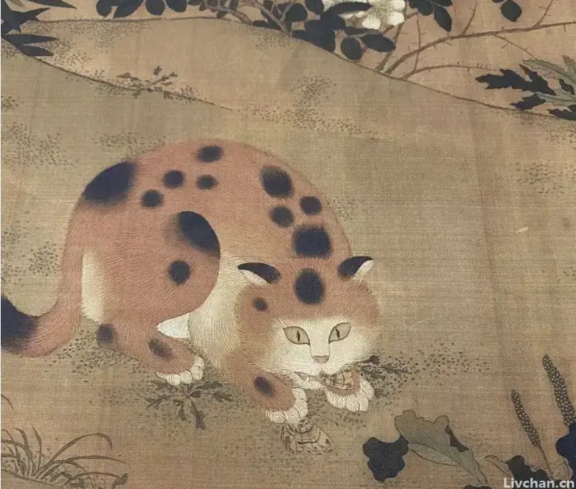 中国人为何不吃猫？李时珍已经告诉我们答案，古人早就尝过了