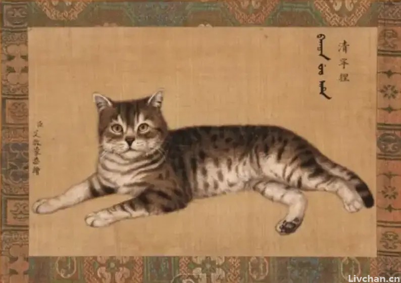 中国人为何不吃猫？李时珍已经告诉我们答案，古人早就尝过了