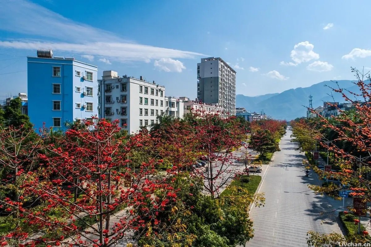云南过冬不一定去版纳，这6座城海拔低气温高，都是避寒的好地方
