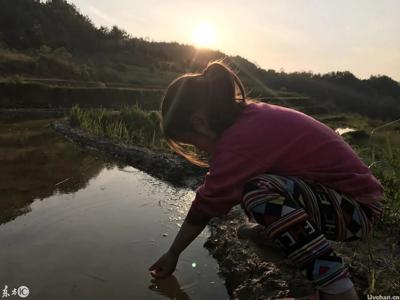 这首绝美乡村诗，短短四句展现一幅美丽画卷，这才是向往的生活
