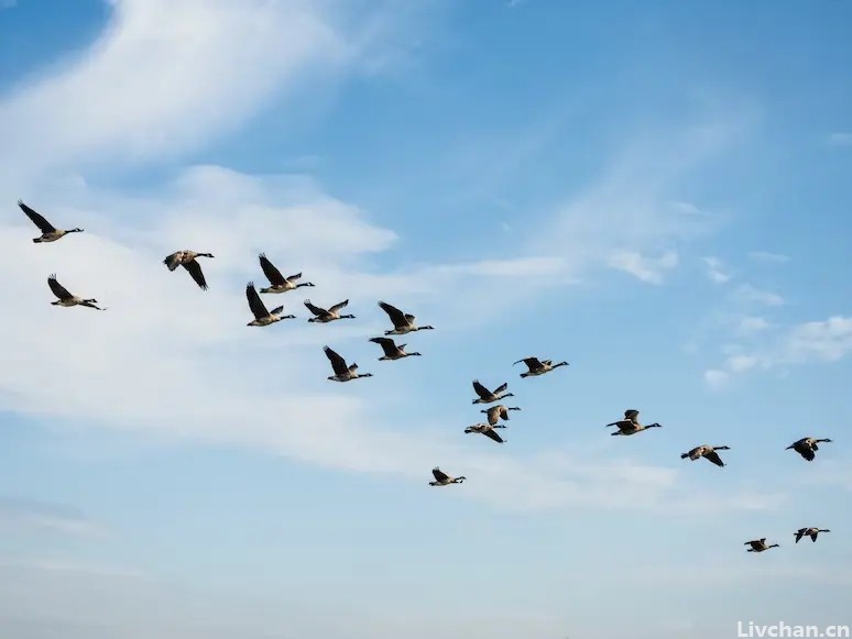 李清照“最经典”的一首词，开篇便惊艳千年，你读过吗？