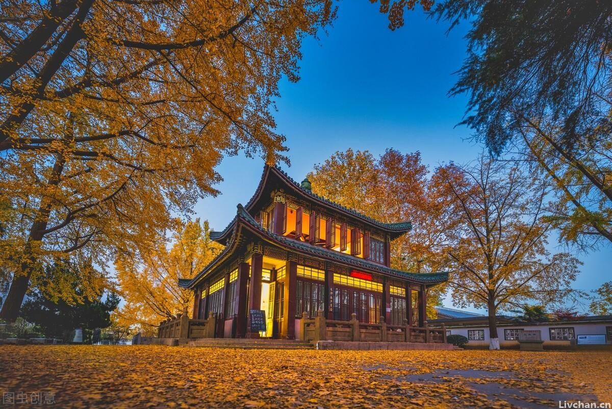 秋上玄武湖，走进一个色彩斑斓的秋天
