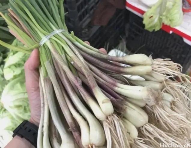 藠头（jiao头）是“菜中灵芝”，长得像葱又像蒜，营养又美味，腌着吃酸甜可口