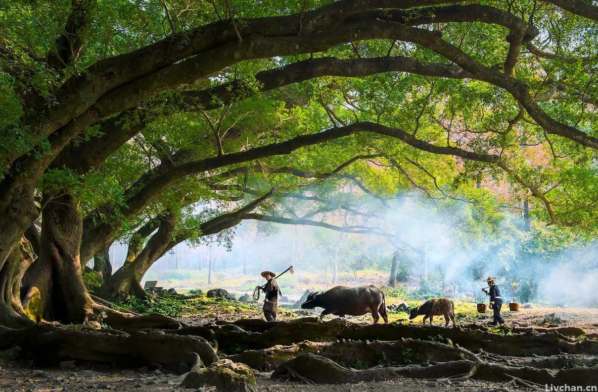 王阳明的一首诗，每一句都写得很美，犹如一幅山水画