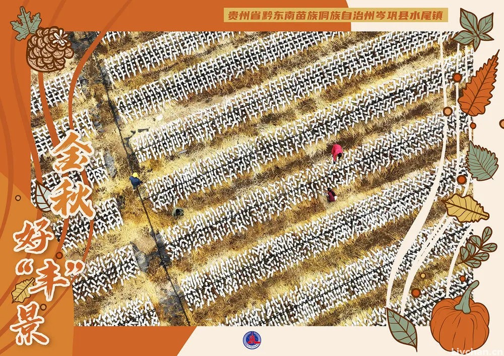 古代诗人笔下的丰收图景