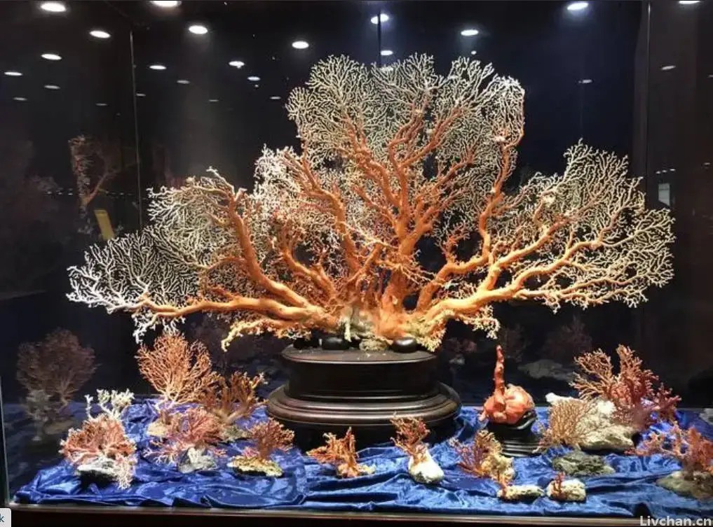 朋友圈最受欢迎的30句诗词，经典又唯美