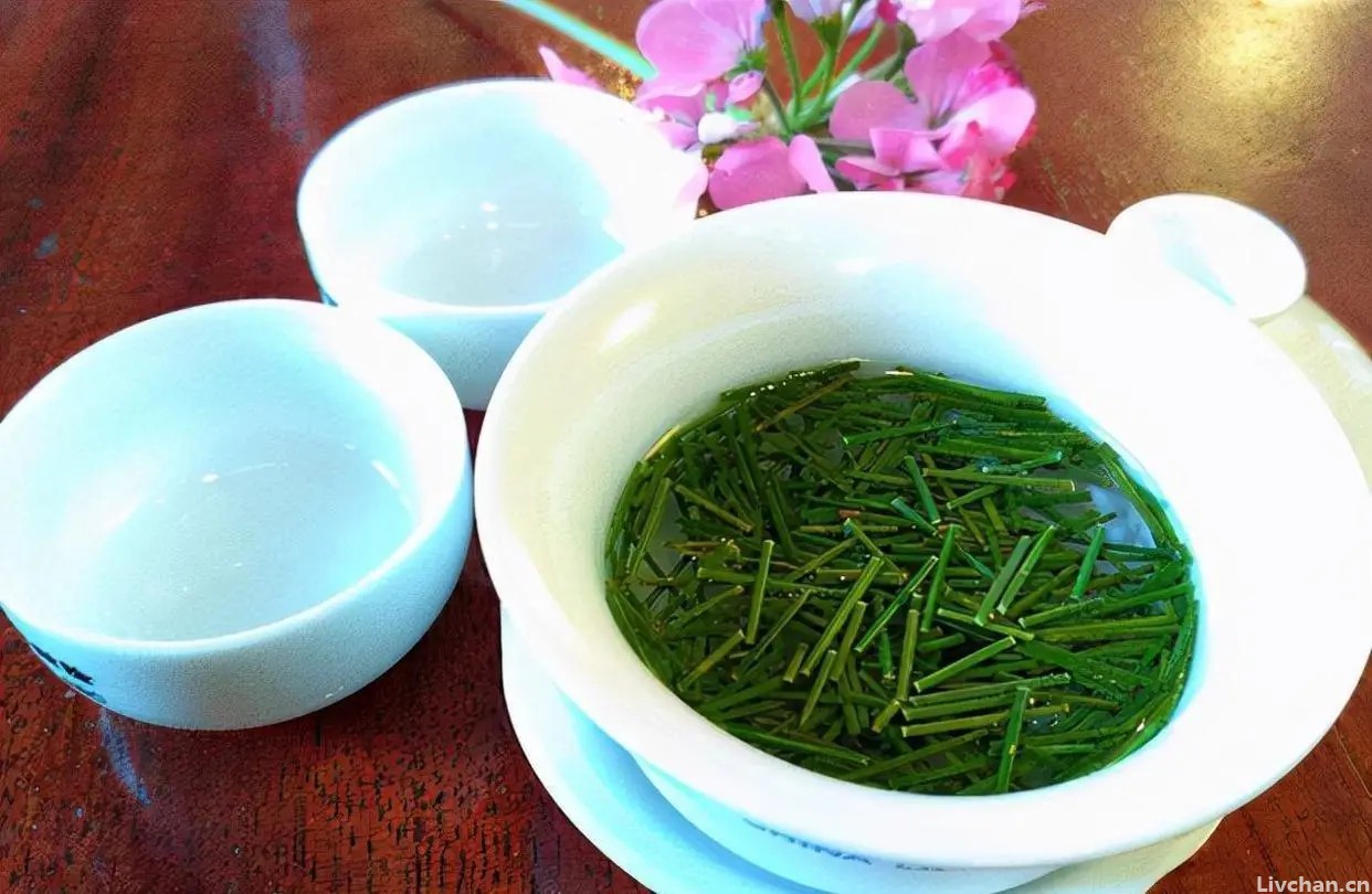 松树上的松针煮水，有6个妙用，没想到价值这么好，采摘点备用