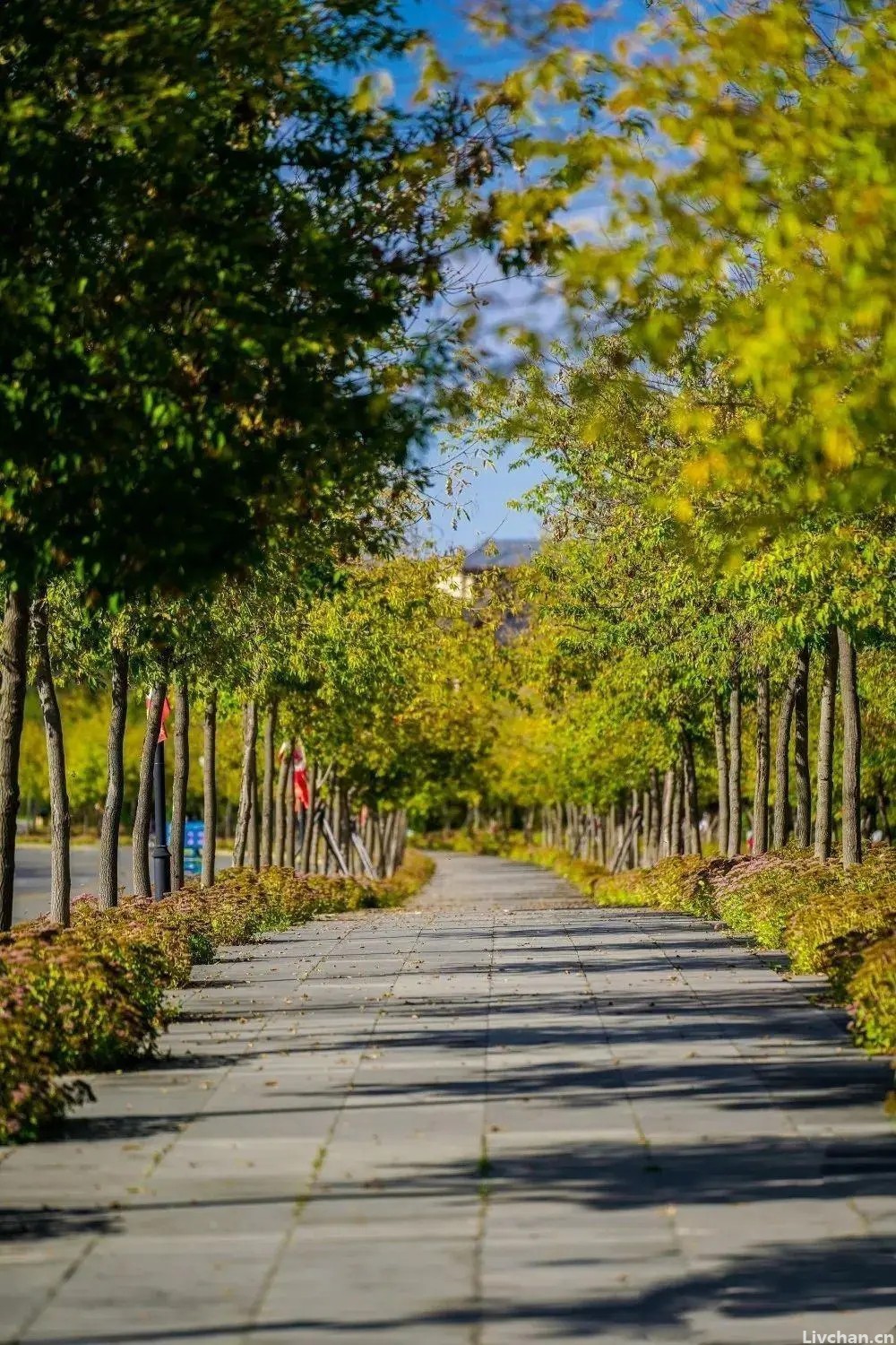 范仲淹的一首秋词《御街行·秋日怀旧》，无一思字却句句写思，连李清照也忍不住模仿
