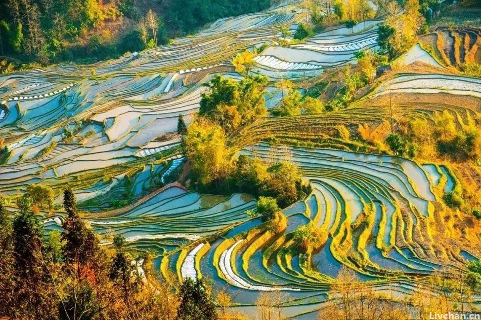 宋代无名词人叶清臣的《贺圣朝·留别》一句词，经苏轼修改后，成千古名句