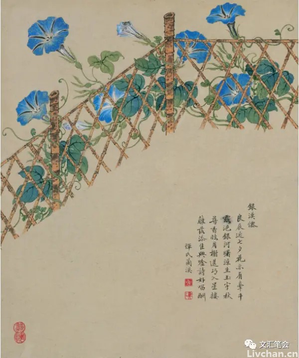 我的喇叭花，我的黑白丑 