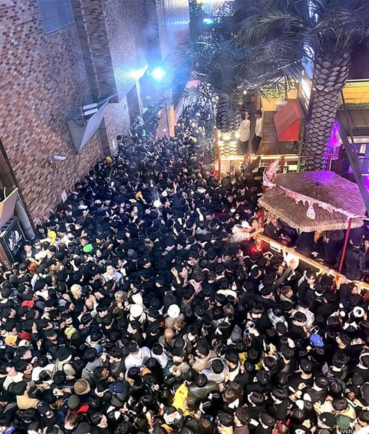 网事如风-2022年10月网事总结 网事如风-2022年10月网事总结