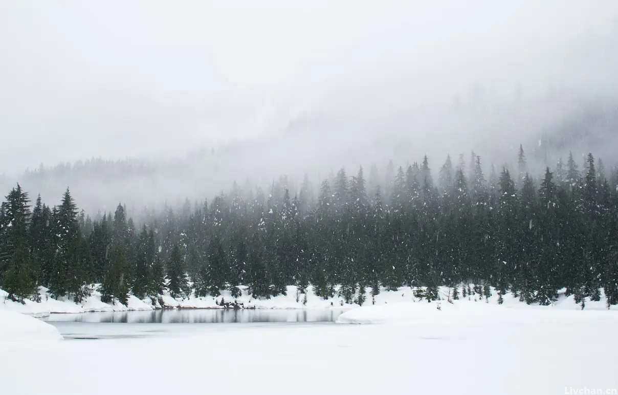 “吹灯窗更明,月照一天雪”,这四首雪诗意境绝美,一读便爱上了 “吹灯窗更明,月照一天雪”,这四首雪诗意境绝美,一读便爱上了