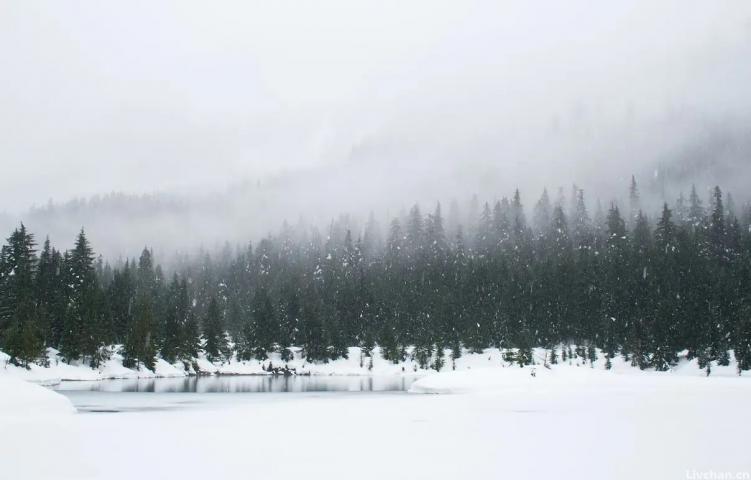 “吹灯窗更明，月照一天雪”，这五首雪诗意境绝美，一读便爱上了
