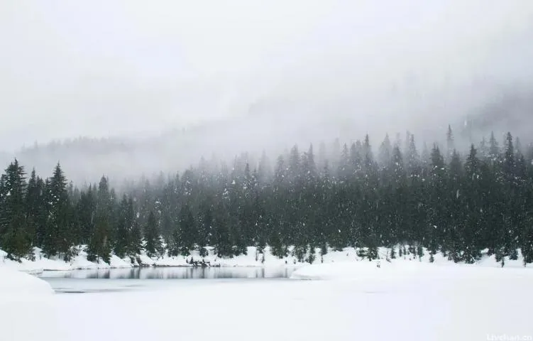 “吹灯窗更明,月照一天雪”,这五首雪诗意境绝美,一读便爱上了