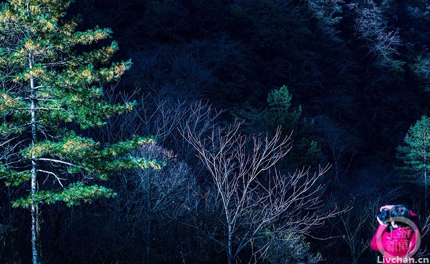 诗歌｜张广超：数落故乡山水烟云（组诗）