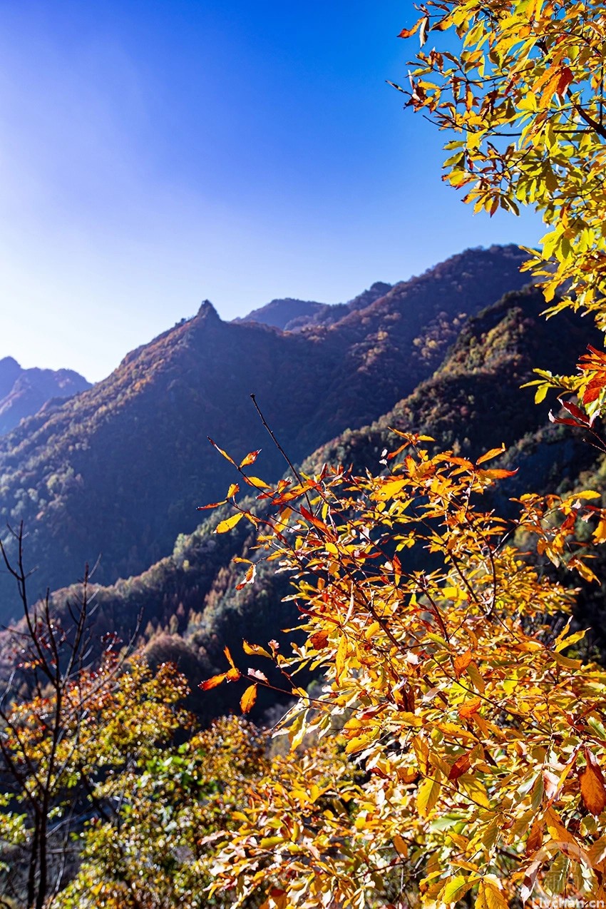 宋诗三首,《晓出黄山寺》等——第三首韵味悠远,颇具晚唐风味 宋诗三首,《晓出黄山寺》等——第三首韵味悠远,颇具晚唐风味