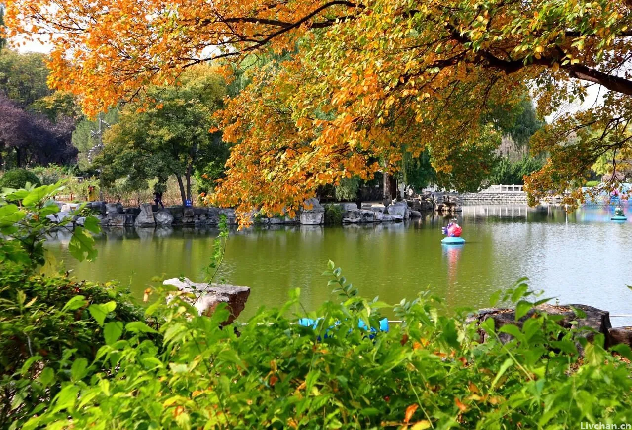 《春江花月夜》何以孤篇盖全唐