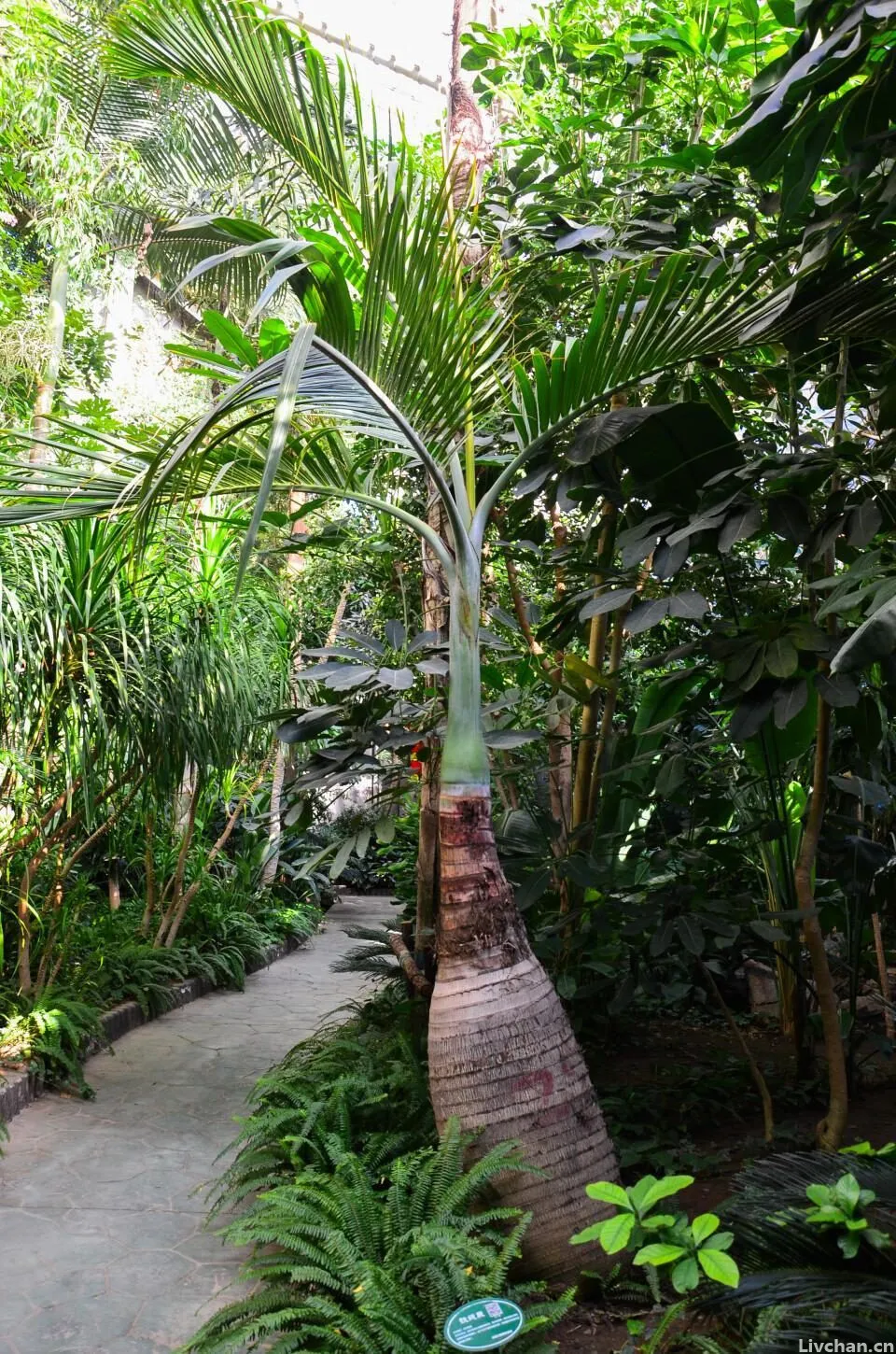 《春江花月夜》何以孤篇盖全唐