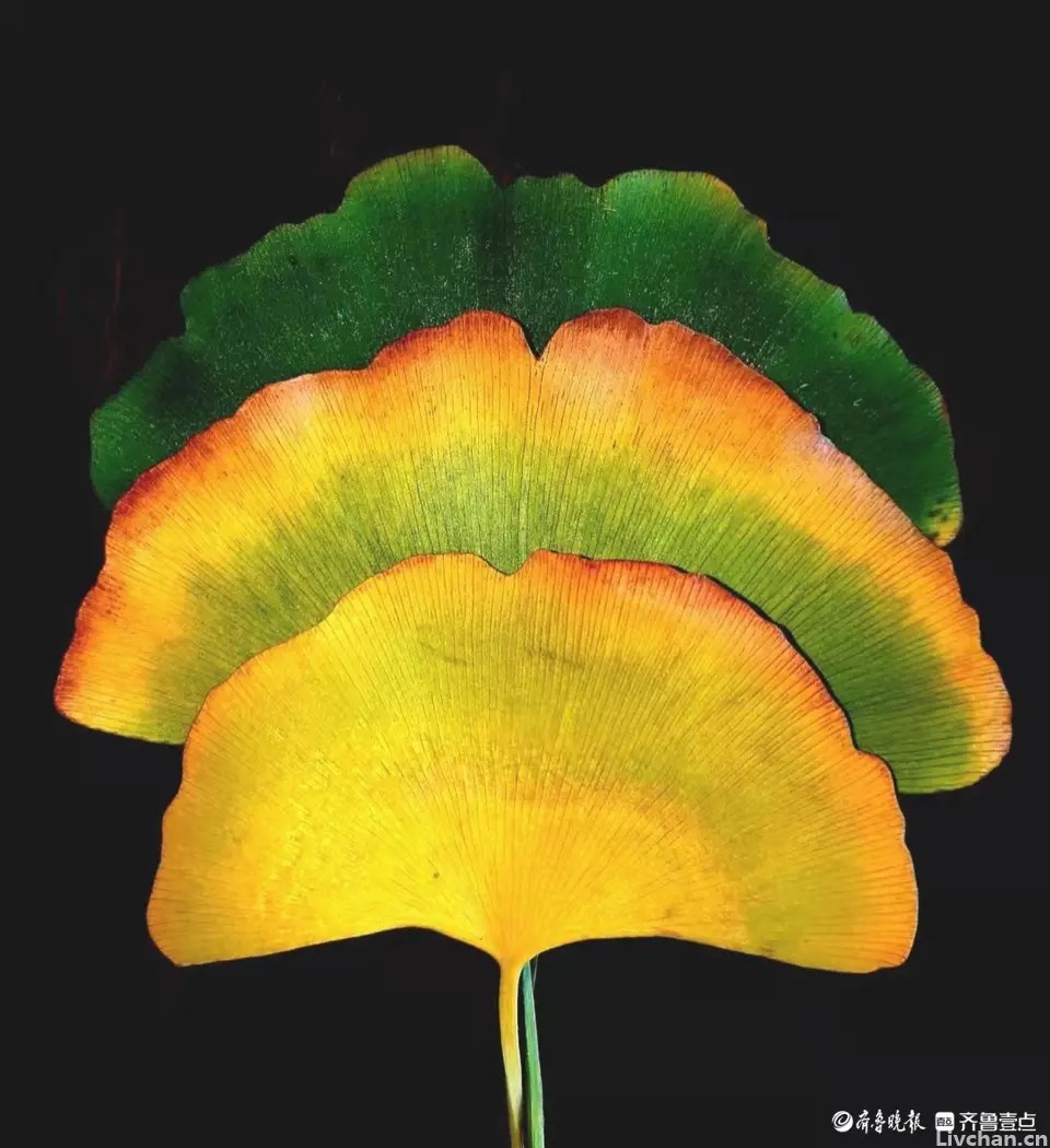 人际交往的关键一定要把握住：热情有选择，付出有门槛，善良有锋芒