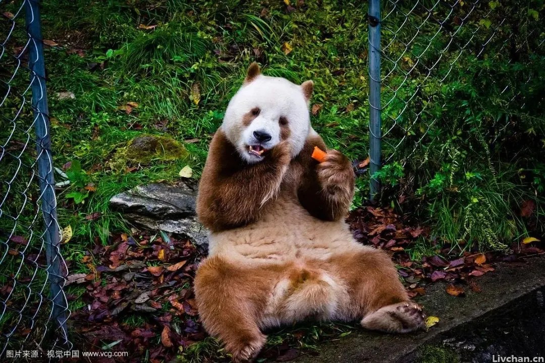 陕西，中国的乡愁