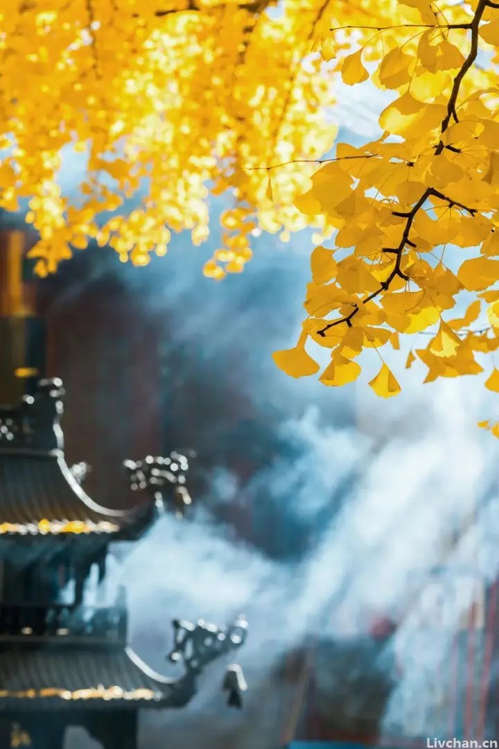 短短十个字，“氛围感”拉满