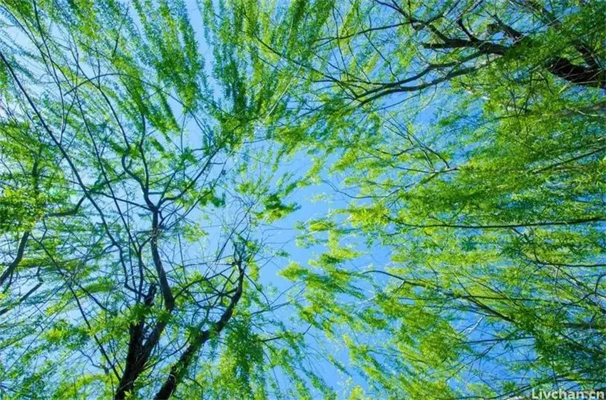 人与人之间最长久的关系,其实是这8个字