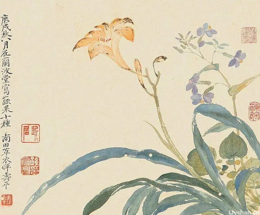 适合自己，才是该追求的生活