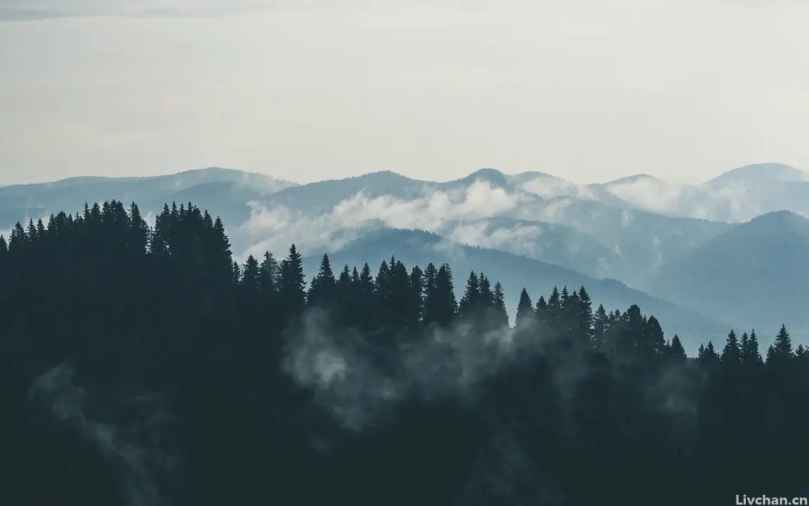 《诗经》中最美的四句诗，只有16个字，惊艳世人3000年