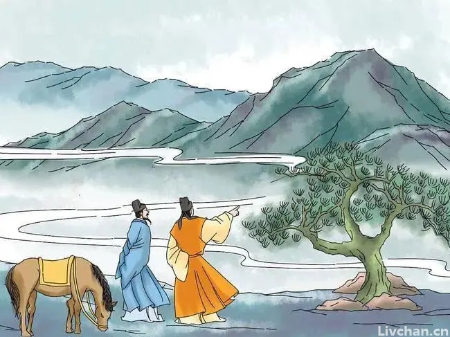古诗词中的“杨柳”，指的是杨树和柳树吗？