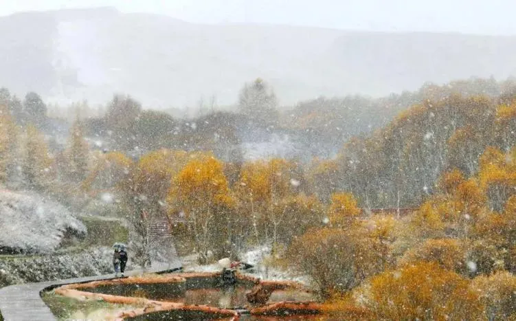 岑参的《白雪歌送武判官归京》等写边塞的六首唐诗,“雪景”最美开篇即是经典名句