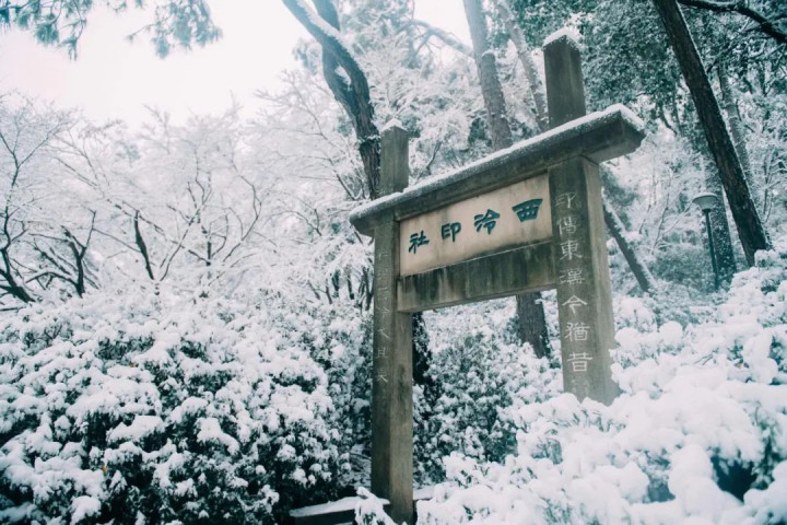 10首咏雪诗词, 柳絮风起, 枝头花开, 唯美了整个冬天