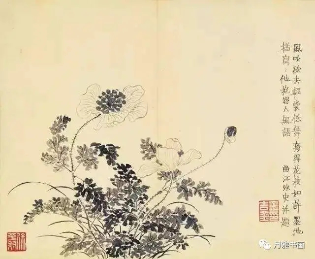金农的不谢之花