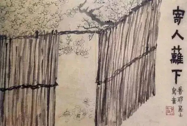 金农的不谢之花
