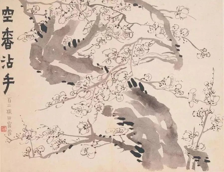 金农的不谢之花
