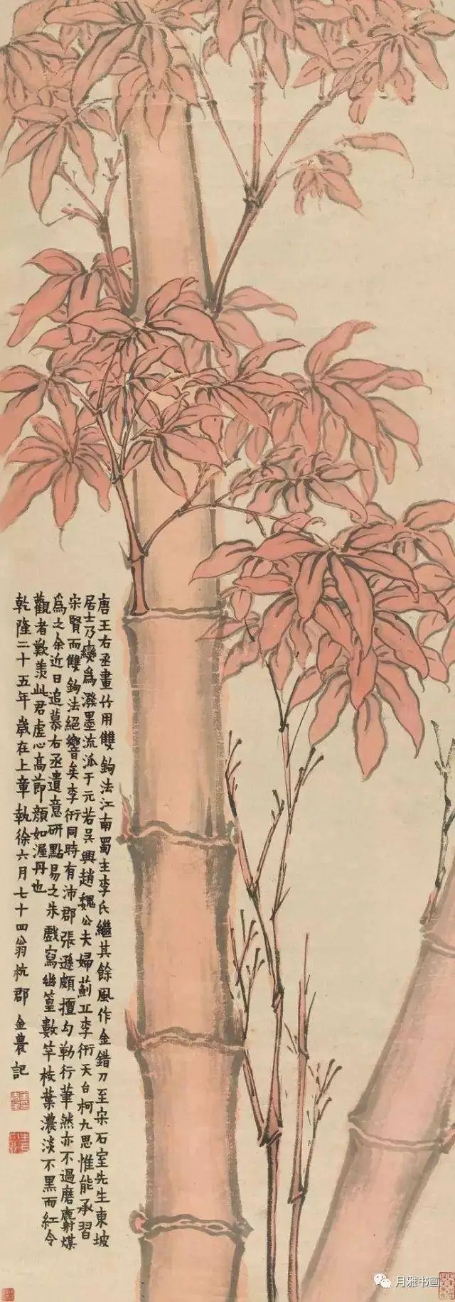 金农的不谢之花