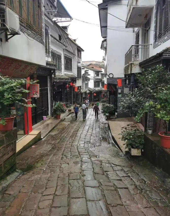 推荐丨文猛：一路乡愁