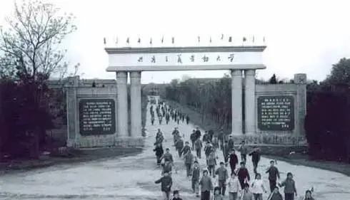 九一三事件后，邓公对子女说了八个字，给伟人写了一封长信