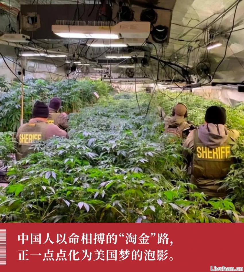 4名同胞在美国遭“行刑式”处决，真相令人唏嘘：这条路走不得