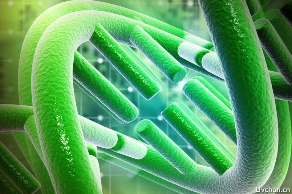 听说过物种灭绝，可是很少听到说新物种诞生，物种究竟从何而来？