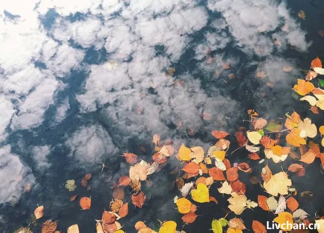 7句摄影口诀，拍出风景美片