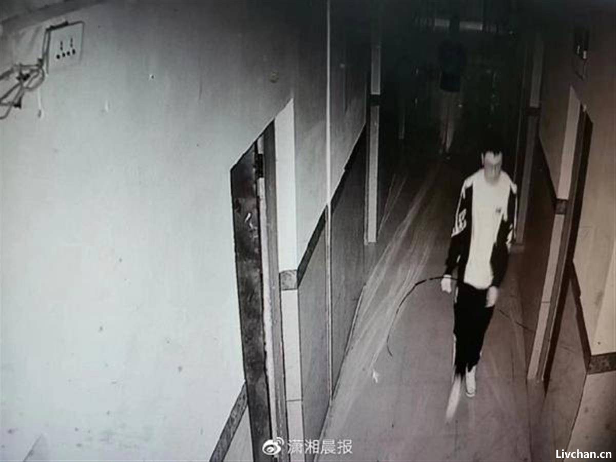 网事如风-2022年10月网事月报 网事如风-2022年10月网事月报