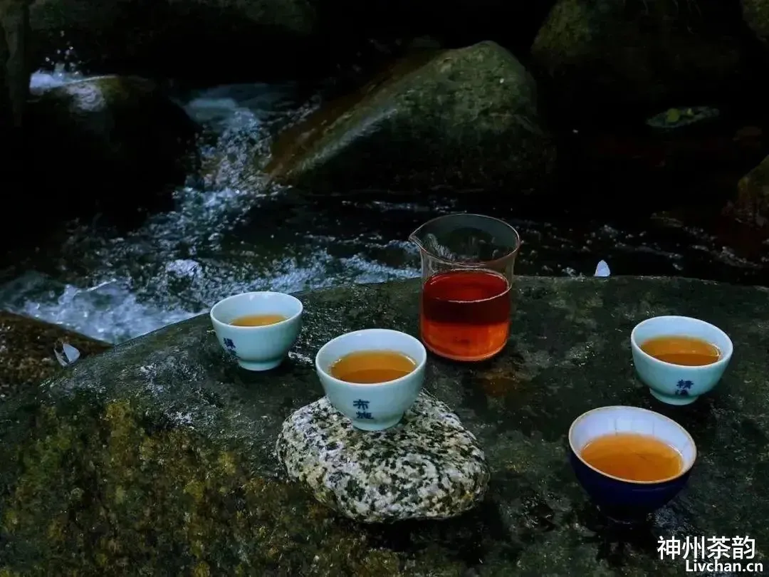 饮茶之乐