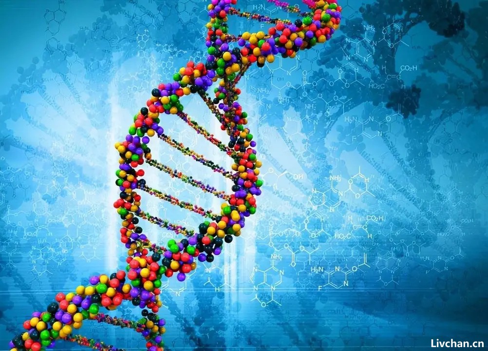 大开眼界！一些人类的基因特征，可能比你想象的更罕见