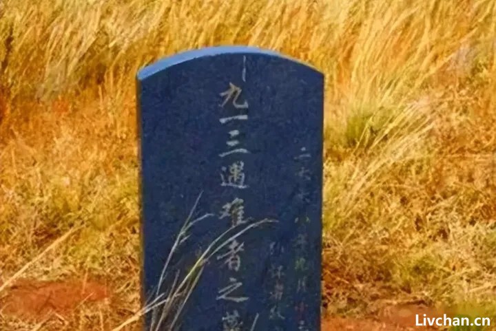 2011年林氏后人赴蒙古坠机地点祭拜纪实