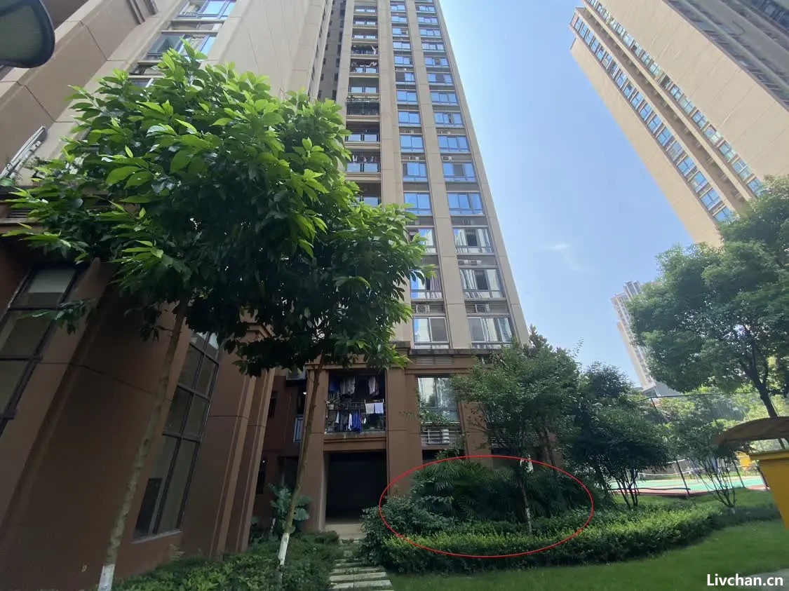 将儿女残忍扔下楼的父亲一审死刑后写信求原谅，前妻回怼