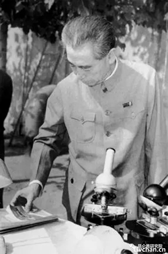 水石：从群众中来 到群众中去——周恩来的调查研究