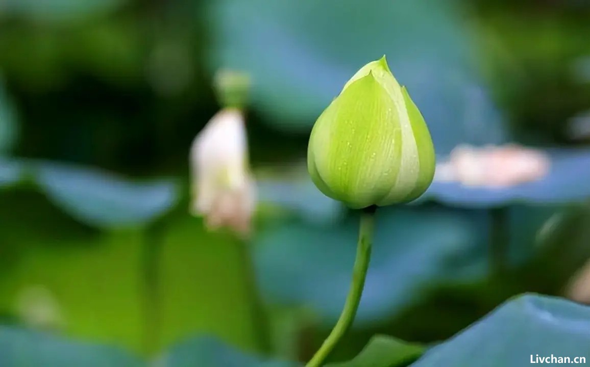 职场上,一个人走向衰败时,会出现以下三个特质 职场上,一个人走向衰败时,会出现以下三个特质