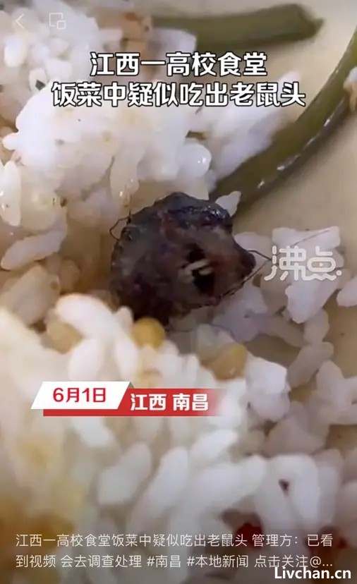 网事如风-2023年6月网事月报